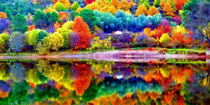 1366x768 Lakes: Beautiful Autumn Scenery Colorful Serenity Lake Trees Forest