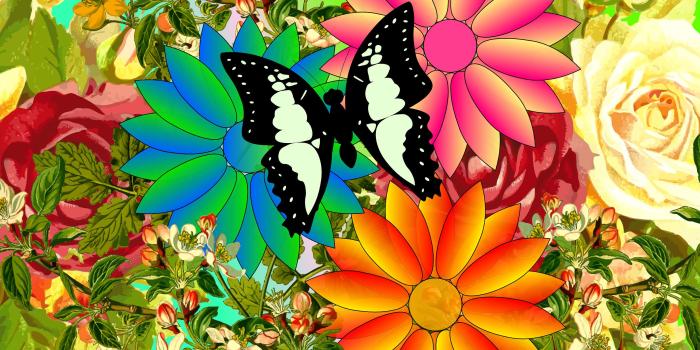 2560x1440 Flowers and butterflies in spring - Barbaras HD Wallpapers