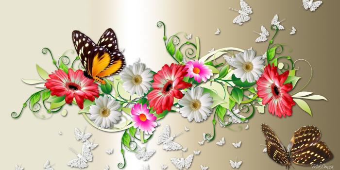 1920x1080 Butterfly Wallpapers (74+ background pictures)