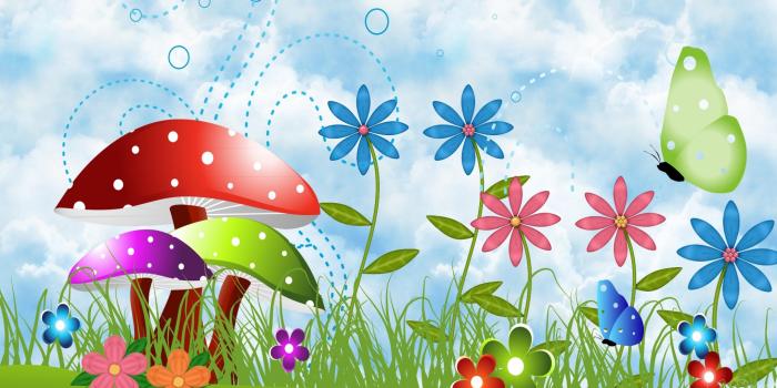 2560x1440 Spring Butterfly Wallpaper Desktop Background » Outdoors Wallpaper 1080p