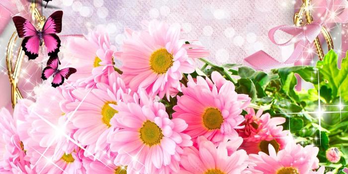 1920x1080 60+ Spring Flowers and Butterflies Wallpapers - Download at WallpaperBro