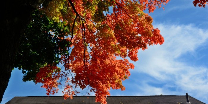 1920x1080 Wallpapers Predominant #7799cc Color Page 13: Autumn Colors Scenic