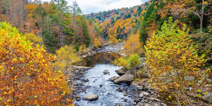 2000x1333 Clear Creek Fall Colors at Obed Wild and Scenic River Tennessee HD