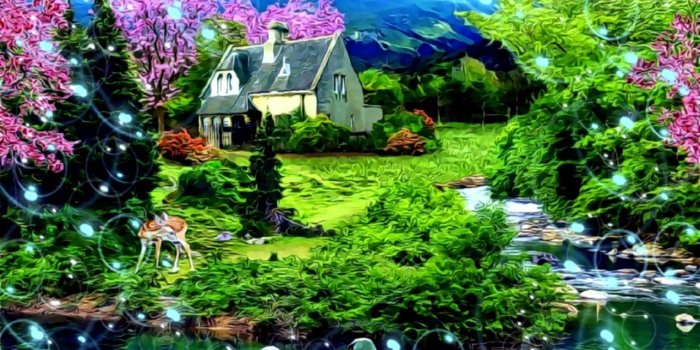 1284x714 Tulip Flowers Beautiful Natural Scenery Hd Wallpaper | Wallpapers