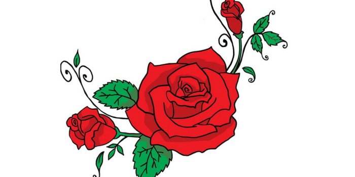 1000x1000 Free Rose Cartoon Images, Download Free Clip Art, Free Clip Art on