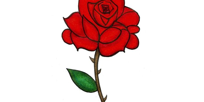 1024x768 Free Rose Cartoon Pictures - Clipartix