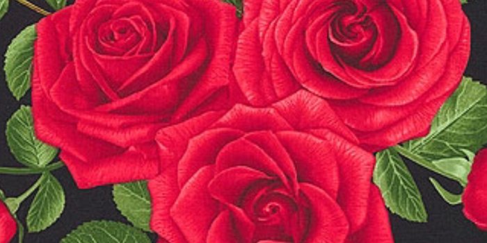 1242x2208 Cartoon Rose Images - Making-The-Web.com