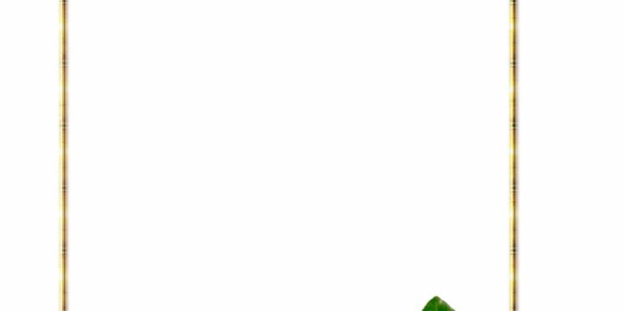 920x1251 Page Borders, Frames Png, Wallpaper Backgrounds, Cartoon - Rose