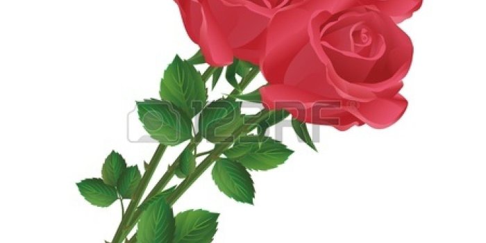 1350x1350 Red Allah Wallpaper Amazing Green Rose - Cartoon Bouquet Of Roses