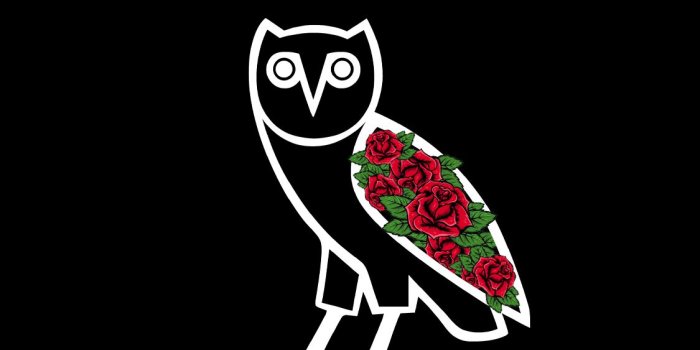 1125x2436 I remade the rose wallpaper for iPhone XS : Drizzy