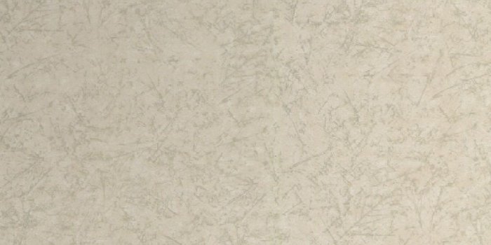 900x900 Style Selections Fossil Leaf Pattern Textured Wallpaper - PrePasted