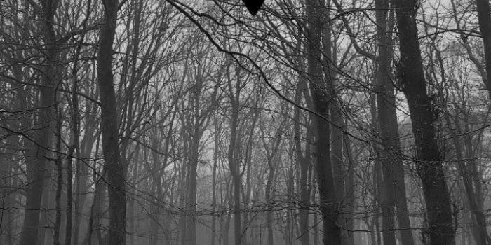 720x1176 shadowhunters - #devices #Shadowhunters - #devices #Shadowhunters