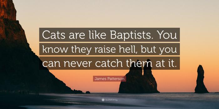 3840x2160 James Patterson Quote: “Cats are like Baptists. You know they raise