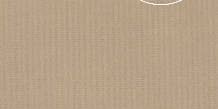 842x1191 Textured wallpaper wall Atlas COL-527-3 non-woven wallcovering textured  unicoloured shimmering cream light-ivory 5.33 m2 (57 ft2)