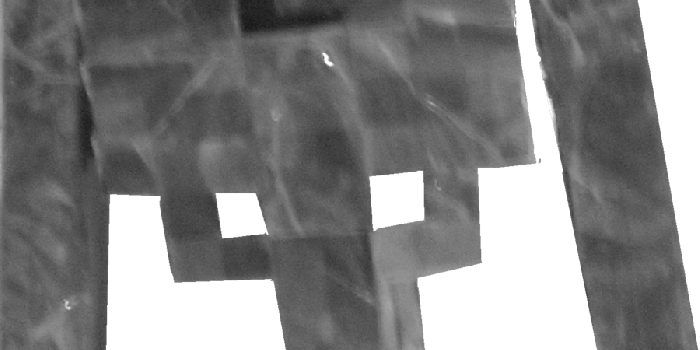 900x1953 Paper minecraft skeleton wallpaper