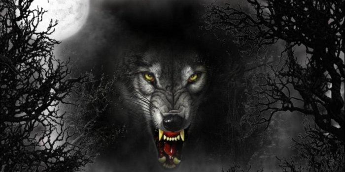 1920x1080 Demon Wolf Wallpapers - Top Free Demon Wolf Backgrounds