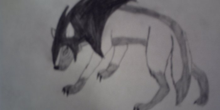 2560x1920 Alpha and Omega images Me as a demon wolf NEW LOOK HD wallpaper and