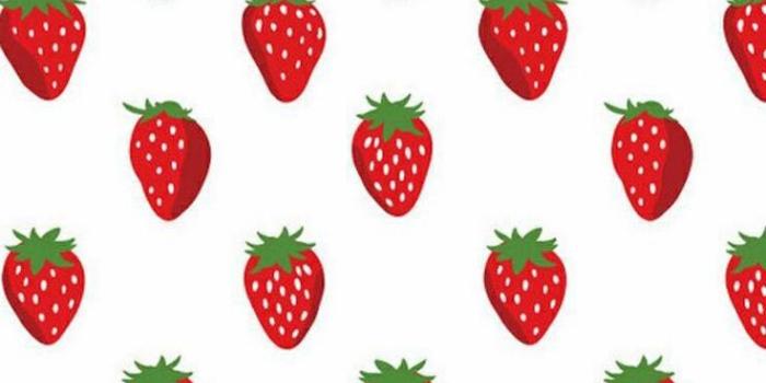 736x1161 Get Strawberry Wallpaper campos de fresas Pinterest Strawberries