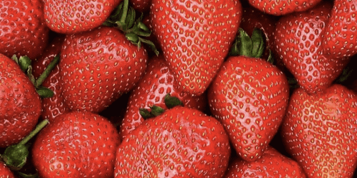 750x1334 Pin de Hina Rizwan en wallpapers | Fruit, Strawberry y Red wallpaper