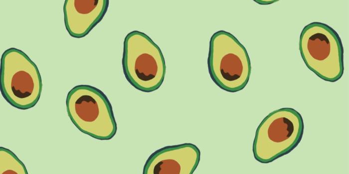 1024x1024 avocadoday avocado wallpaper background green aesthetic...