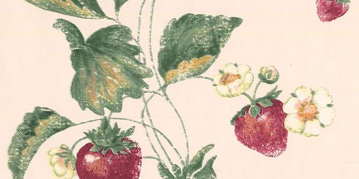 1178x1500 Red Wild Strawberry White Flowers Beige Wide Wallpaper Border Retro