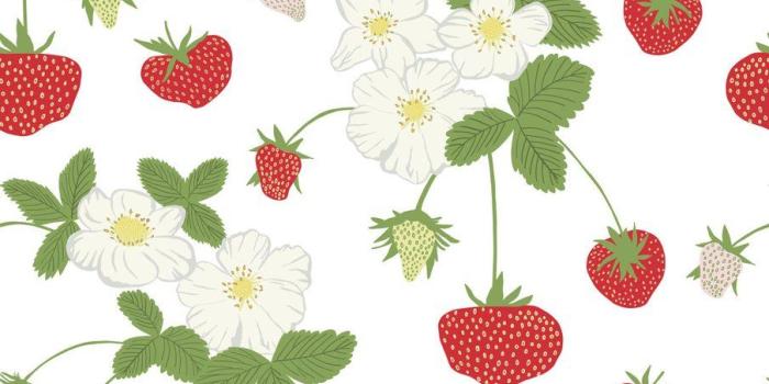 905x1024 Wallpaper strawberry Gallery