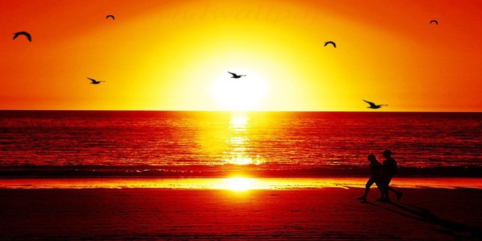 1920x1080 Sunset Wallpaper HD Widescreen #6946160