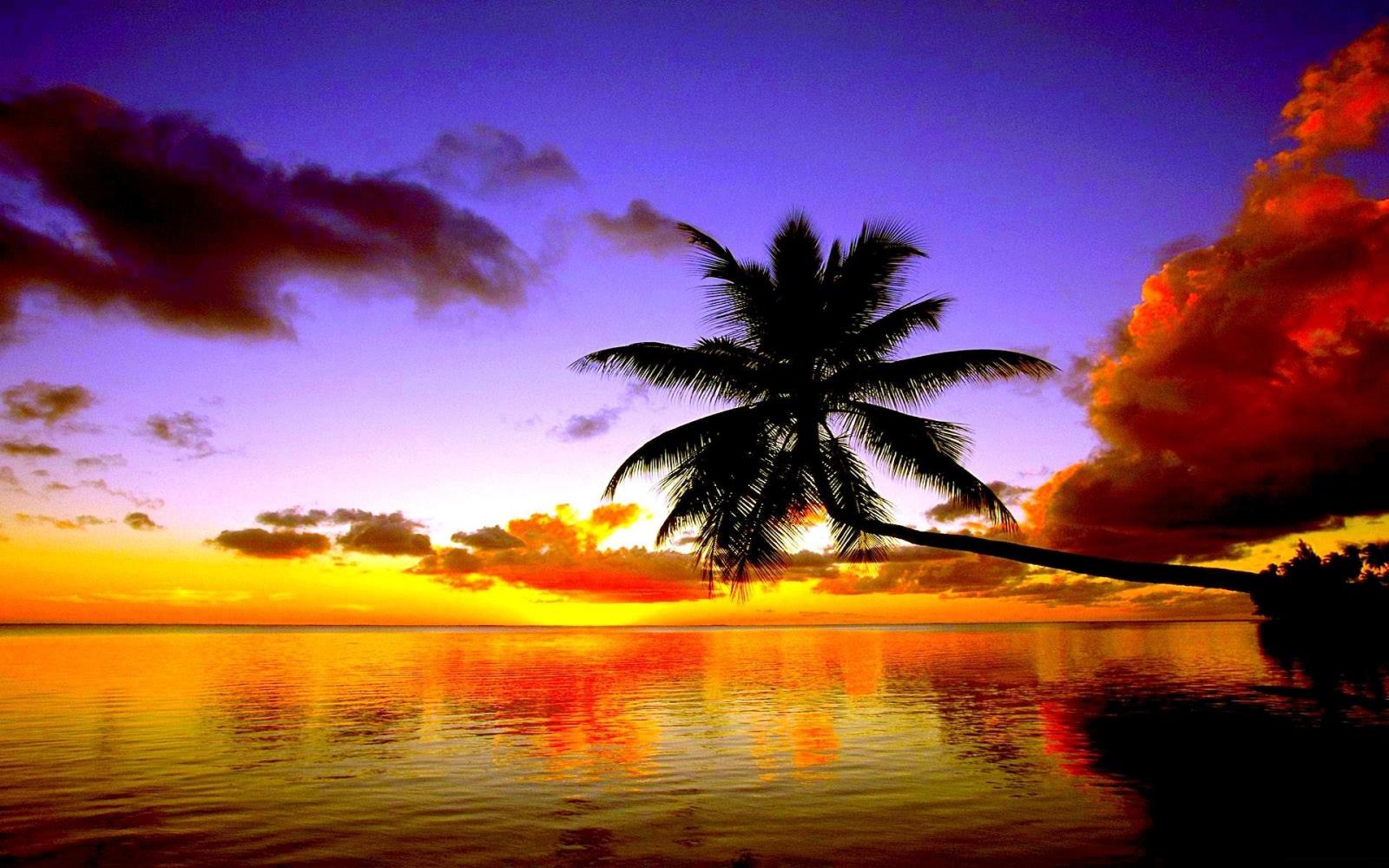 1920x1200 Hd Wallpaper Sunset Beach | Beautiful BeachAuresqueue.com