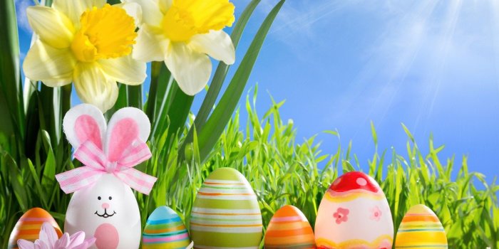1332x850 Wallpaper grass, the sun, flowers, eggs, spring, Easter, sunshine