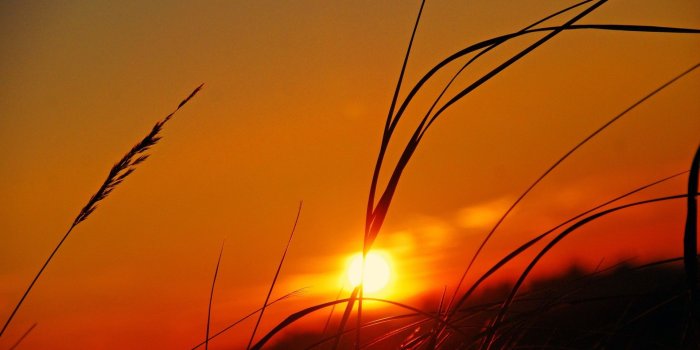1920x1200 Hd wallpapers sunset Gallery