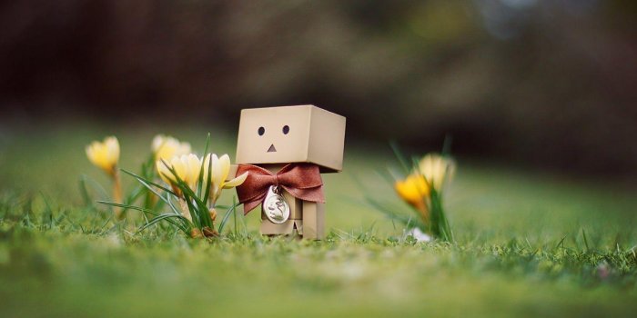 1600x1000 Cute Robot Wallpapers