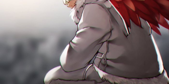 1445x2048 Hawks - Boku no Hero Academia - Zerochan Anime Image Board