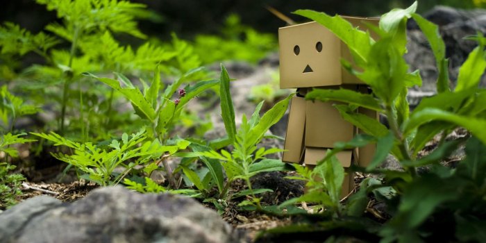 2560x1600 Robot ❤ 4K HD Desktop Wallpaper for • Tablet • Smartphone • Mobile