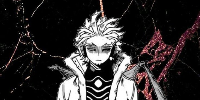 736x1389 hawks bnhahawks bokunoheroacademia 