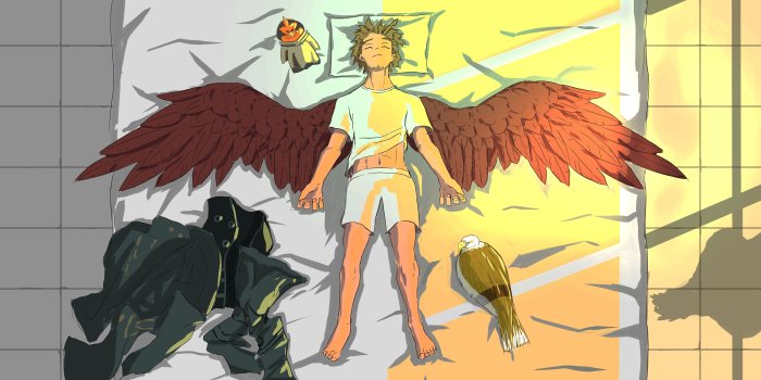 5000x2700 Sweet dreams hawks zzZ 4k Ultra HD Wallpaper | Background Image