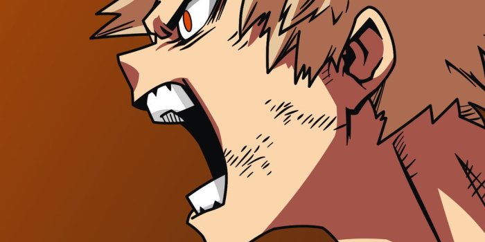 1080x1920 My Hero Academia 3 Wallpapers