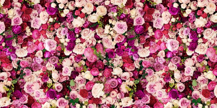 2048x1152 Kate Spade Wallpapers (49+ pictures)