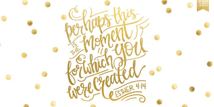 2560x1440 Kate Spade Desktop Wallpaper (103+ images in Collection) Page 2