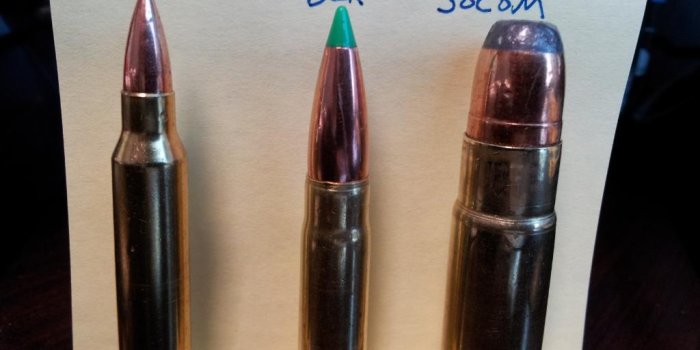1024x768 300 Blackout enough for black bear? - AR15.COM