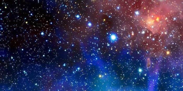 736x1375 Images Collection of Beautiful Stars | nUOH82 Collection