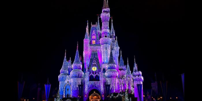 1920x1200 Lighted Cinderella Castle at Disneyland HD Wallpaper | Background
