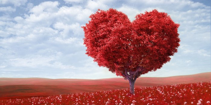 3840x2400 WallpapersWide.com ❤ Valentine's Day HD Desktop Wallpapers for 4K