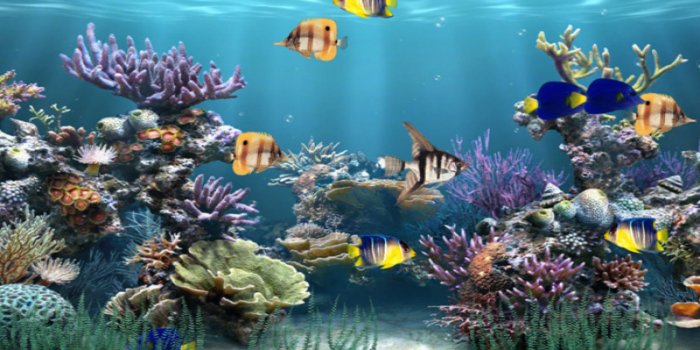 2560x1440 67+ Moving Desktop Wallpapers on WallpaperPlay