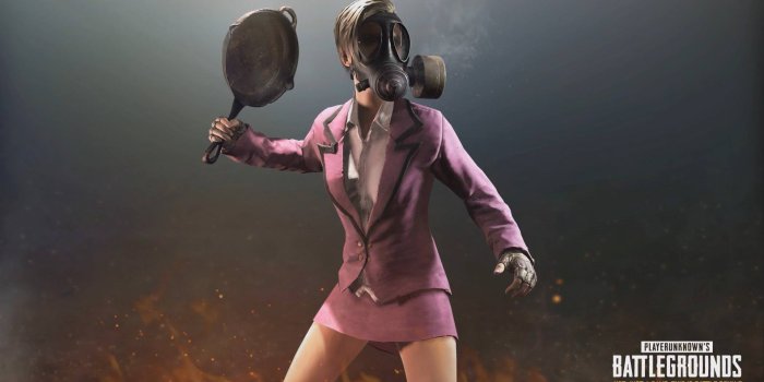 1920x1080 PUBG Video Live Wallpaper - DesktopHut