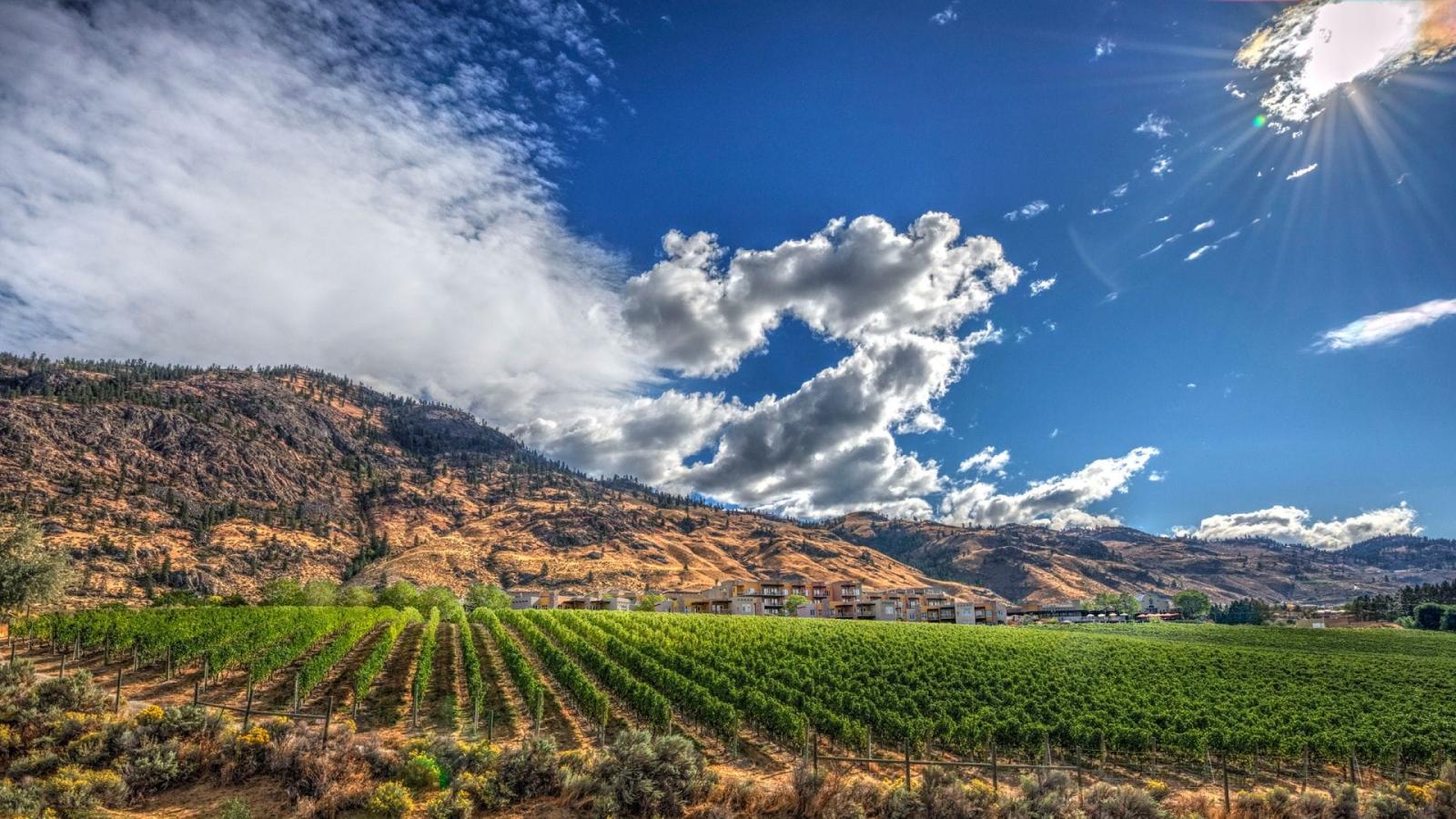 1920x1080 Why you should stay at Spirit Ridge Lake Resort in Osoyoos - My VanCity