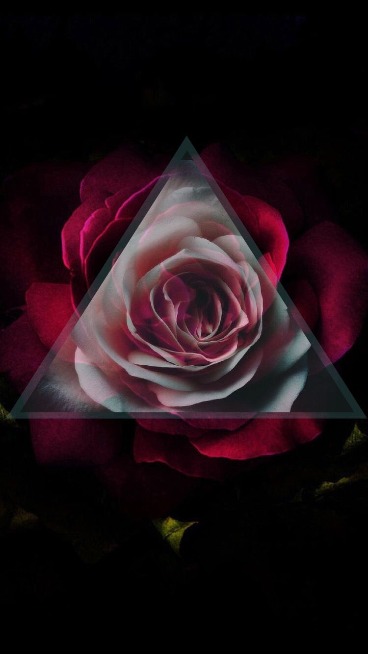 750x1334 iphone wallpaper #gothic #rose #red | Tattoo in 2019 | Gothic