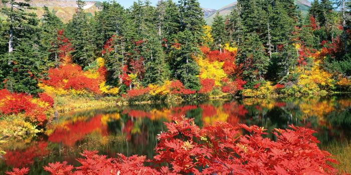 1920x1200 Autumn, Japan ❤ 4K HD Desktop Wallpaper for 4K Ultra HD TV • Wide