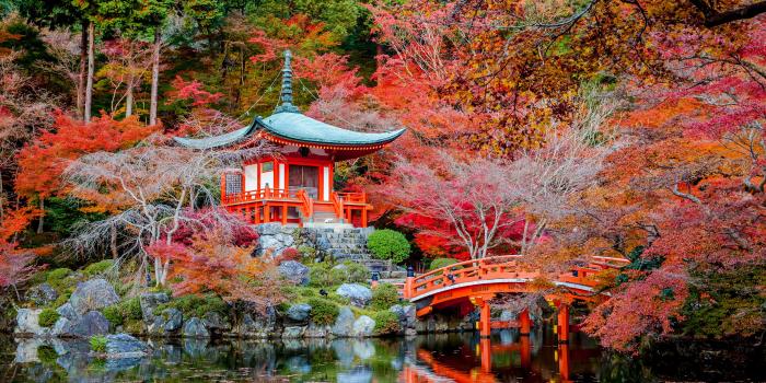 3840x2400 Desktop Wallpapers Kyoto Japan Autumn Nature Bridges Pond 3840x2400