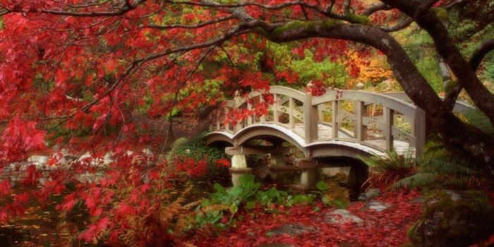 1600x1200 Japanese Nature Wallpapers