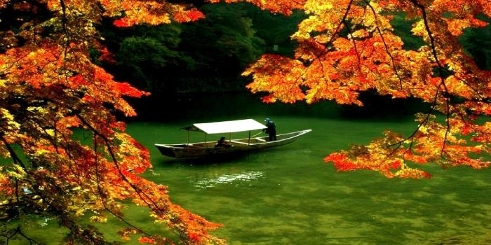 2560x1440 Japanese Autumn Desktop Wallpapers - Top Free Japanese Autumn